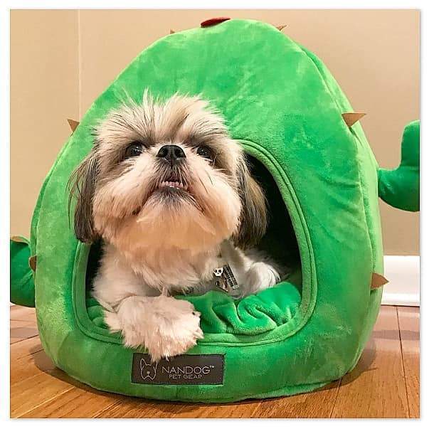 Fashionable designer dog bed Online from Nandog Nandog Pet Gear™