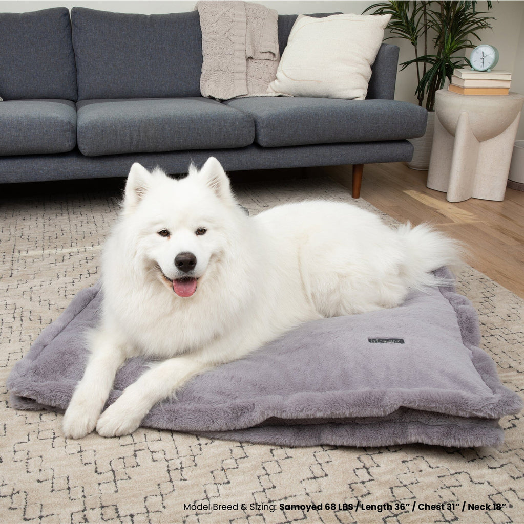 Cloud Removable Cover Large Pillow Dog Bed - Gray