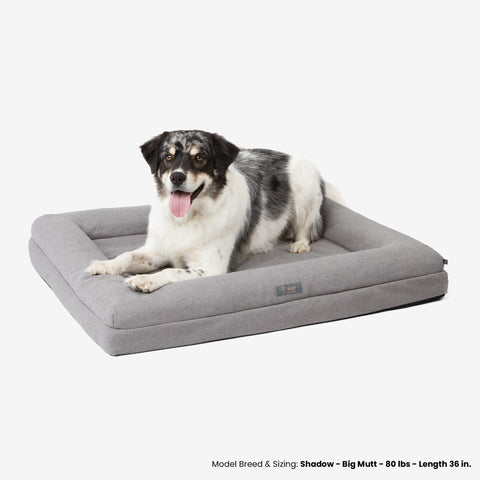 Memory Foam Orthopedic Dog Bed - Large/Gray