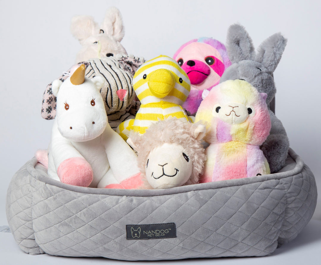 Group shot of the most wanted pet toys