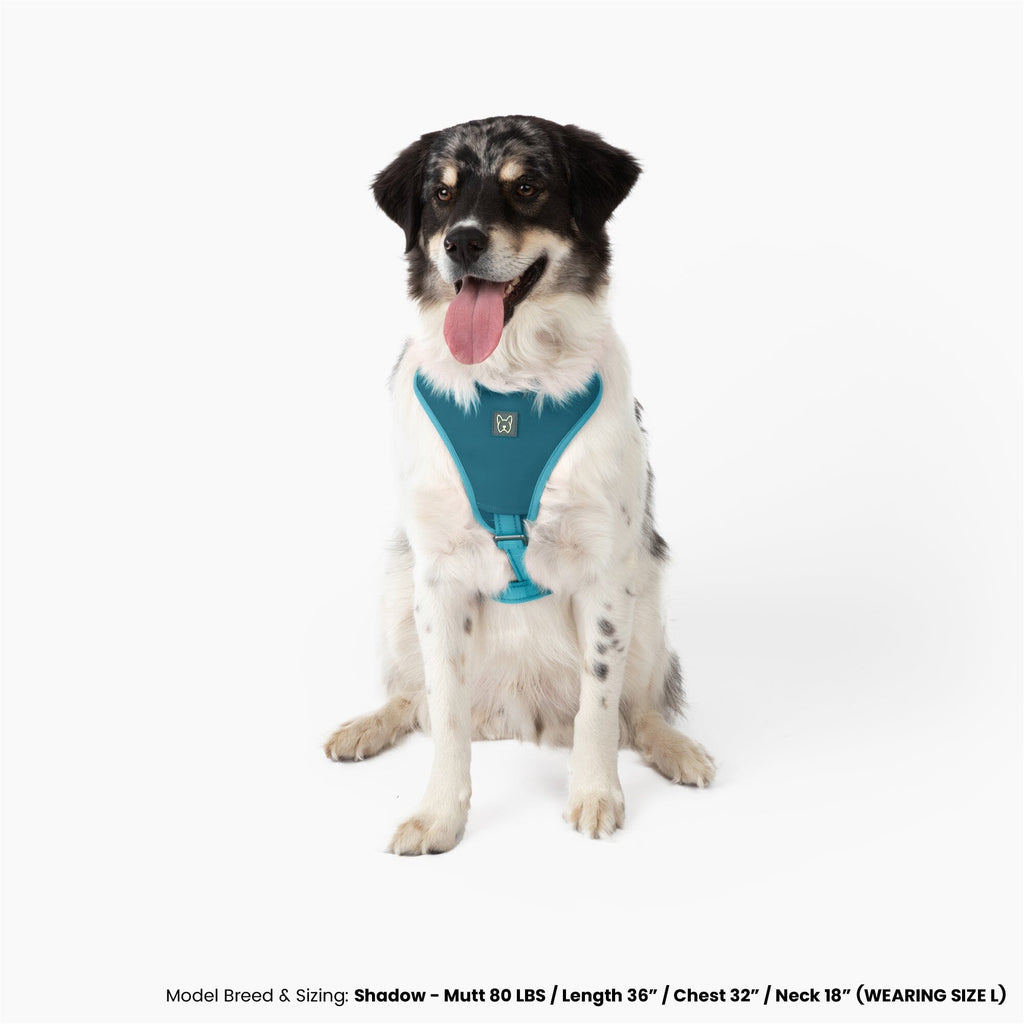Neoprene Sport Dog Harness - Blue