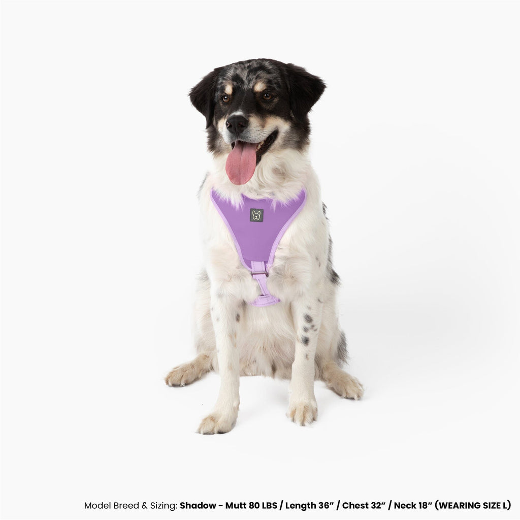 Neoprene Sport Dog Harness - Lilac