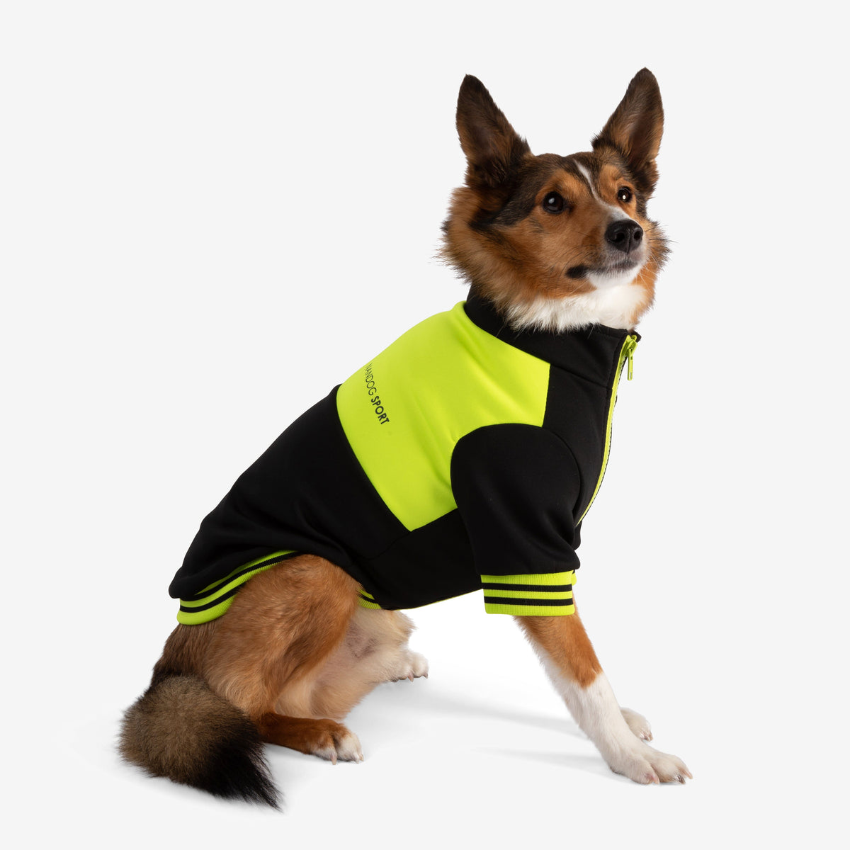 nandog-sport-jacket-collection