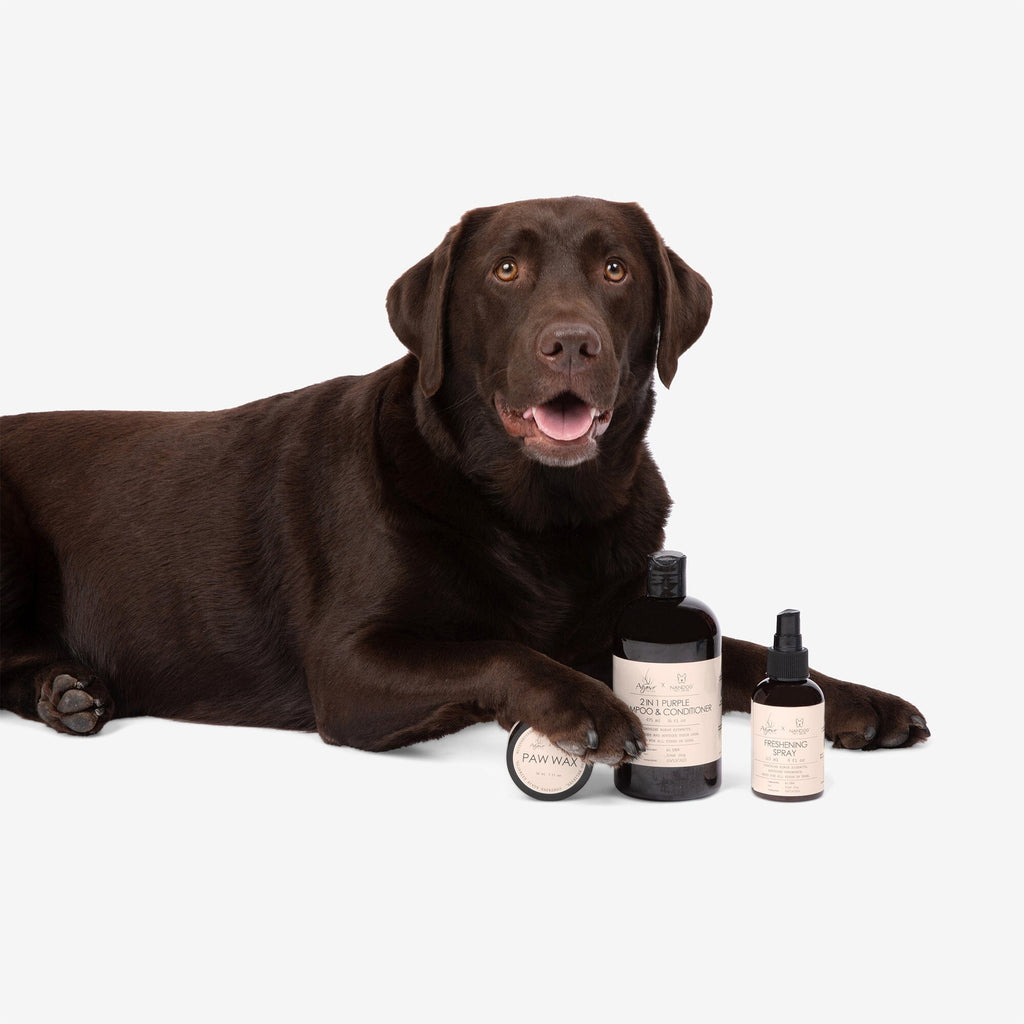 Nandog X Agave Oil for Pets Care Value Kit