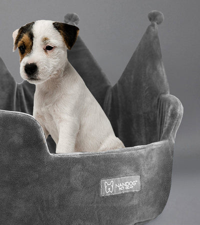 Best Dog Beds to Keep Your Dog Cool This Summer