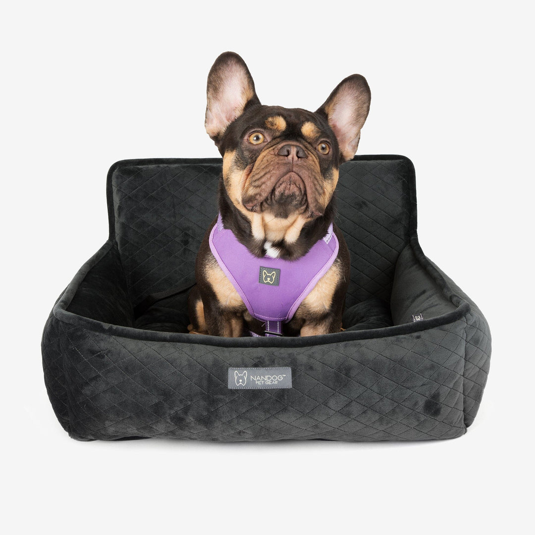 Luxury on the Move: Car Seat Beds for Dogs