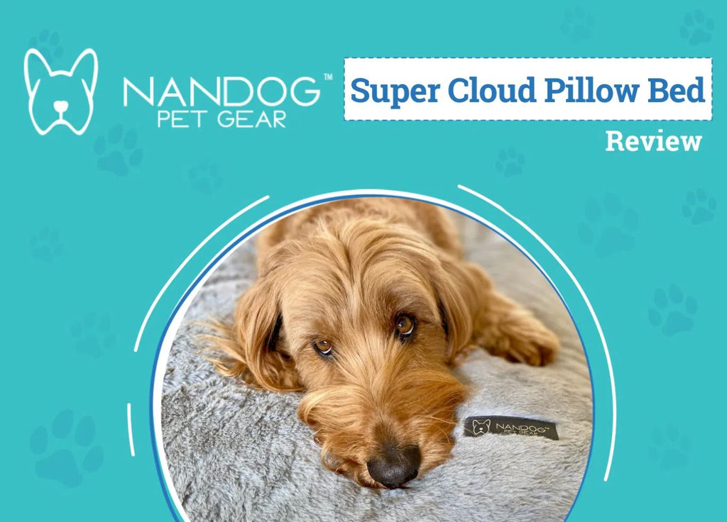 We’re on Dogster! 🐾 Nandog’s Super Cloud Bed Gets the Spotlight