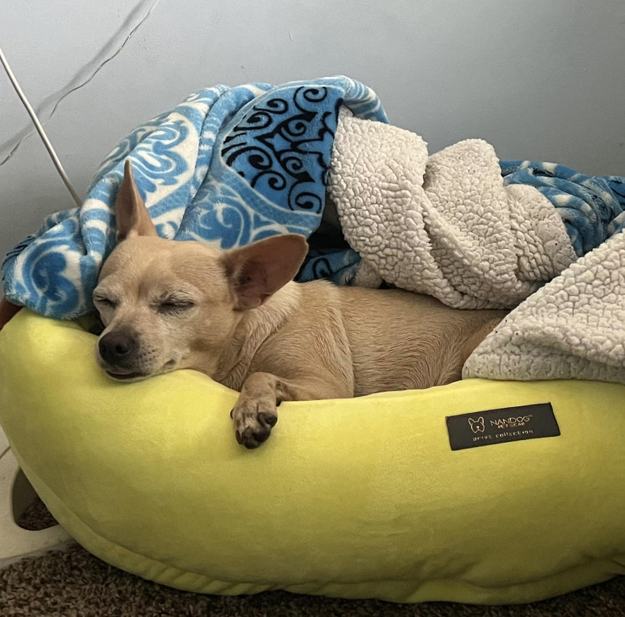 Banana Dog Cat Bed Luxury Dog Cat Banana Shape Bed Nandog Pet Gear