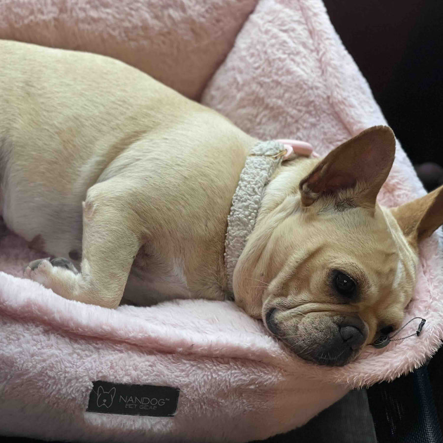 Darlene dog sofa sale