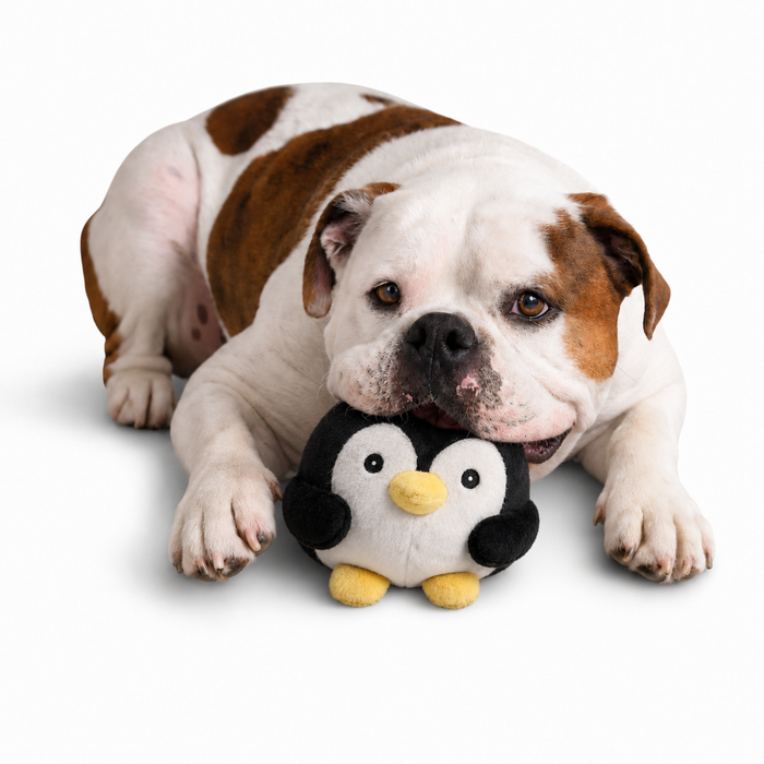 My BFF Glacier The Penguin Plush Dog Toy – Nandog Pet Gear™