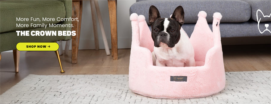 Luxury Dog Beds & Plush Toys | Comfort & Style for Your Furry