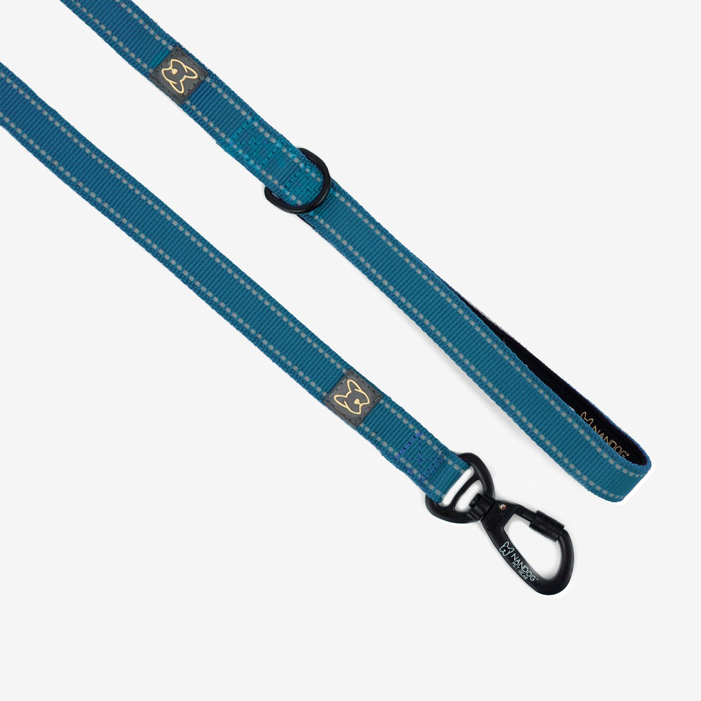 Anti-Push Sport Dog Leash with Neoprene Handle - Blue