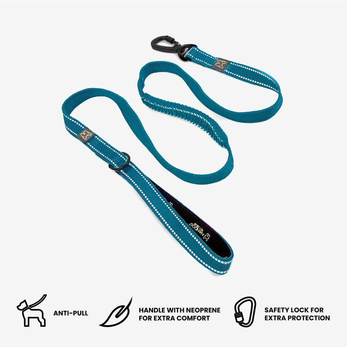 Anti-Push Sport Dog Leash with Neoprene Handle - Blue