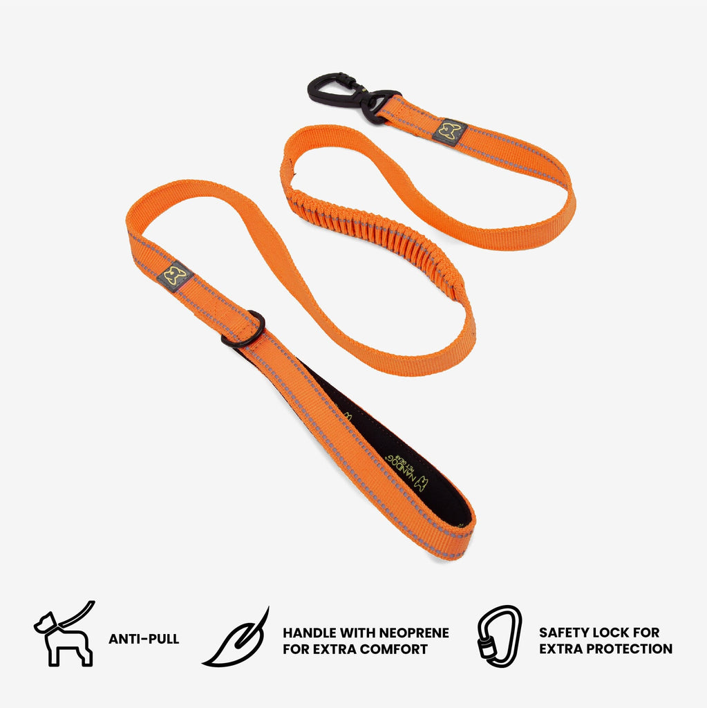 Anti-Push Sport Dog Leash with Neoprene Handle - Orange