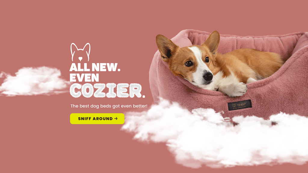 Dog Cat Beds, Car Seat, Toys 1 Pet Store Nandog Pet Gear Nandog