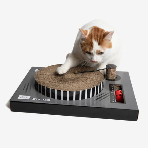 CAT SCRATCHER DJ TURN TABLE