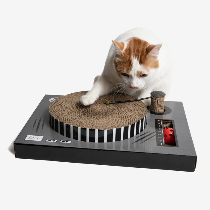 CAT SCRATCHER DJ TURN TABLE