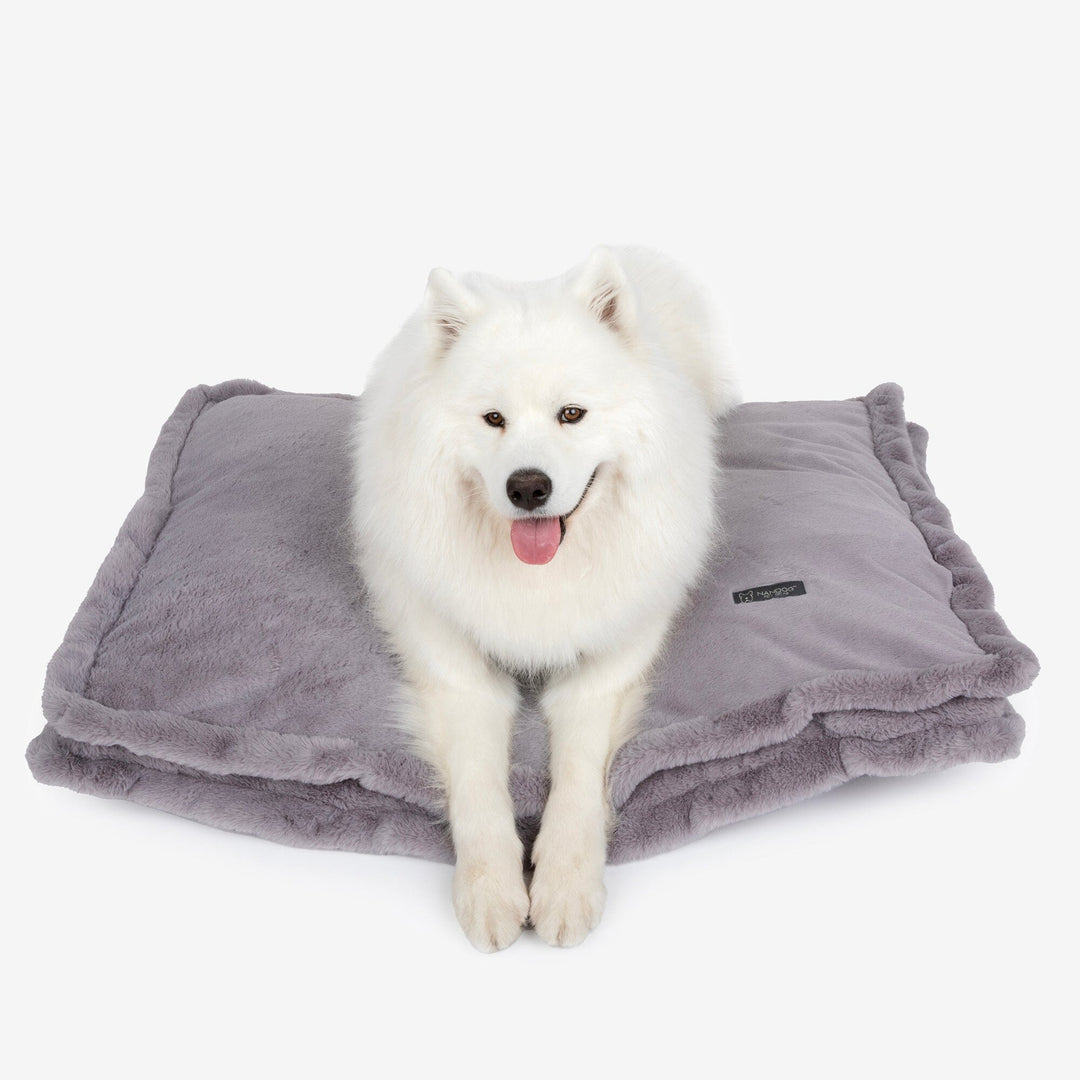 Cloud Removable Cover Large Pillow Dog Bed - Gray