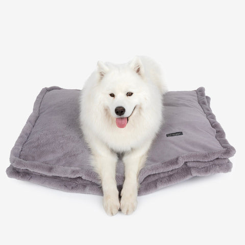 Cloud Removable Cover Large Pillow Dog Bed - Gray