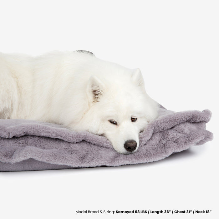 Cloud Removable Cover Large Pillow Dog Bed - Gray