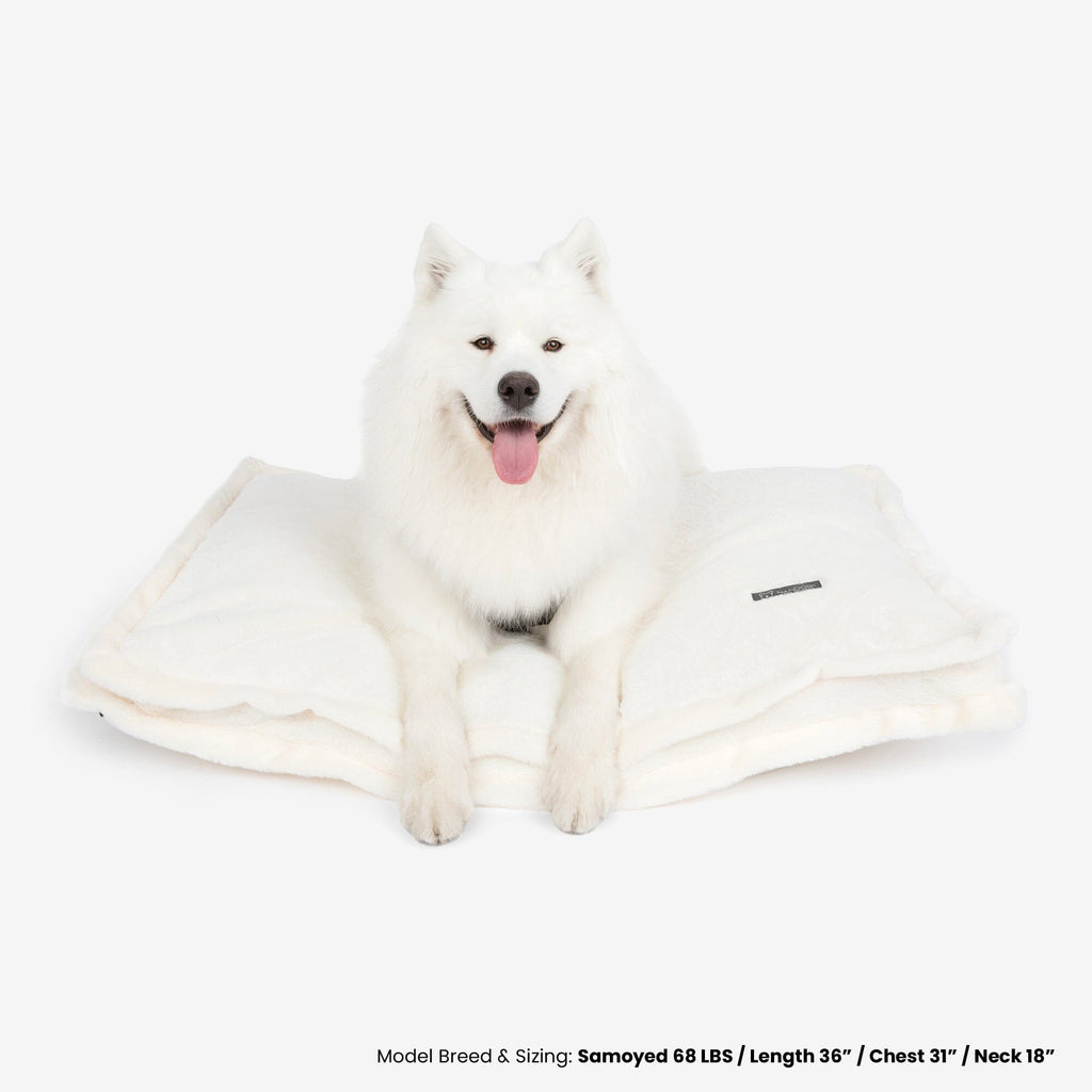 Cloud Removable Cover Large Pillow Dog Bed - Ivory