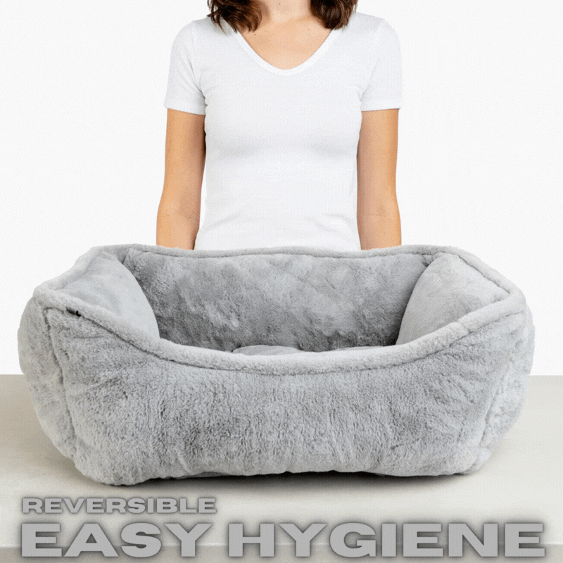Hygienic cheap dog bed