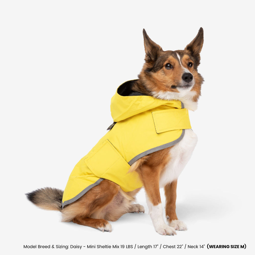 Dog Rain Coat Nandog Sport Collection