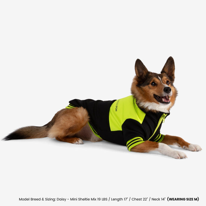 Dog Sport Jacket