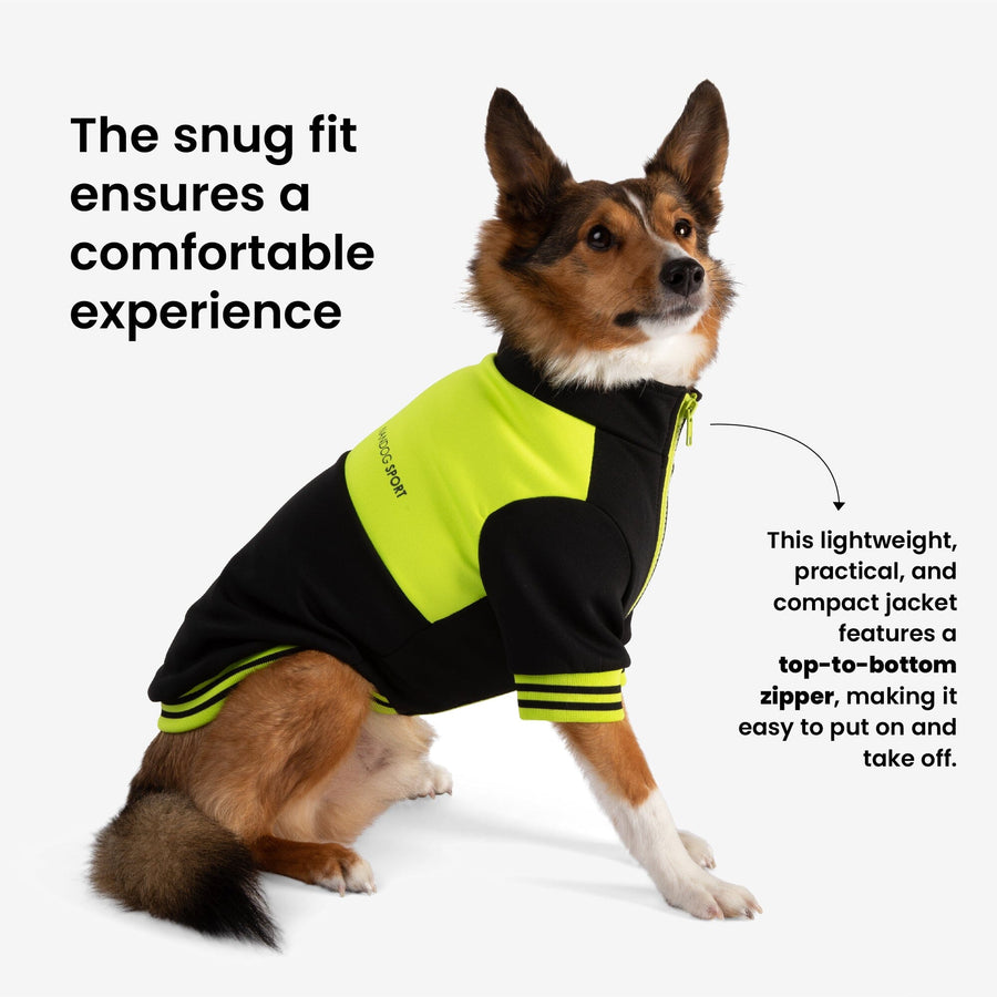 Dog Sport Jacket – Nandog Pet Gear