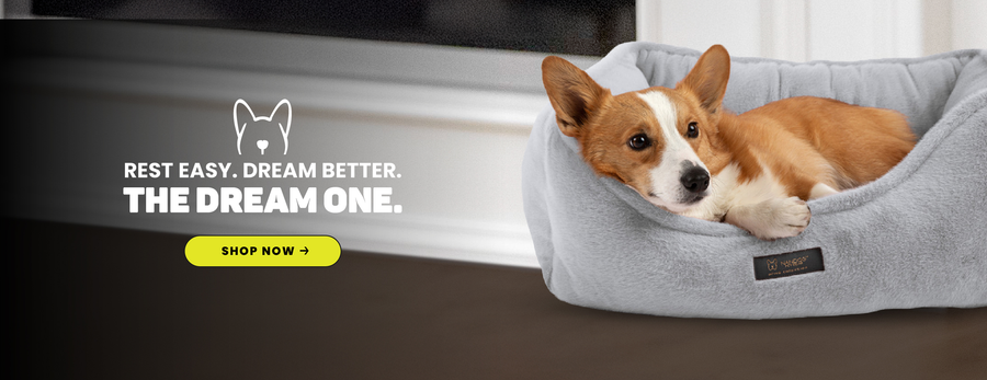 Luxury Dog Beds & Plush Toys | Comfort & Style for Your Furry
