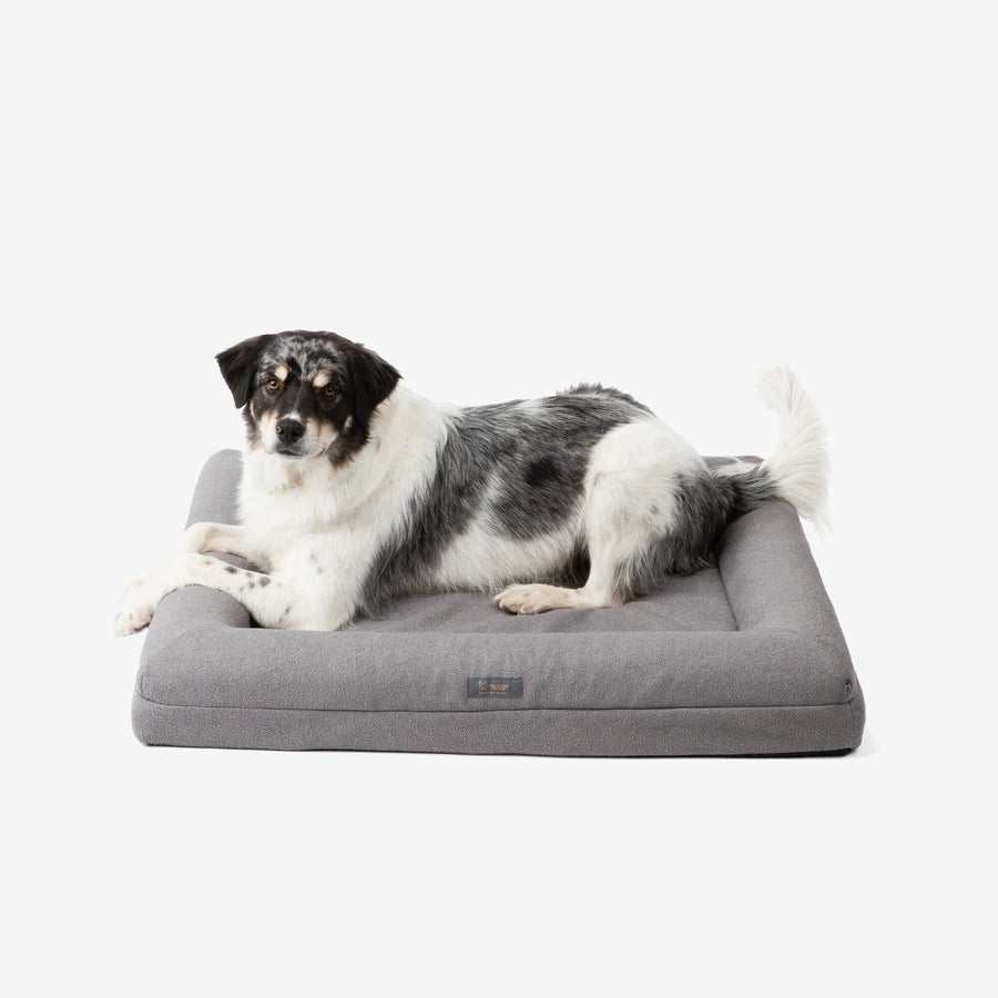 Pet Supplies Casper Orthopedic Dog Bed Buy Casper Comfortable