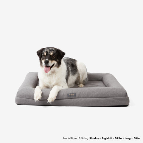 Memory Foam Orthopedic Dog Bed - Large/Gray