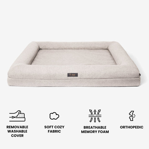 Memory Foam Orthopedic Dog Bed - Large/Off White