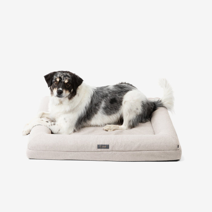 Memory Foam Orthopedic Dog Bed - Large/Off White