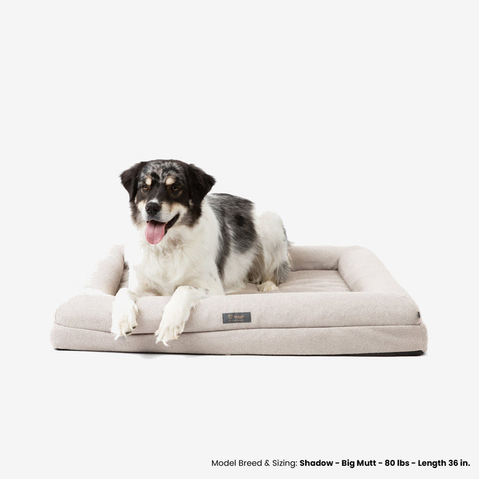 Memory Foam Orthopedic Dog Bed - Large/Off White