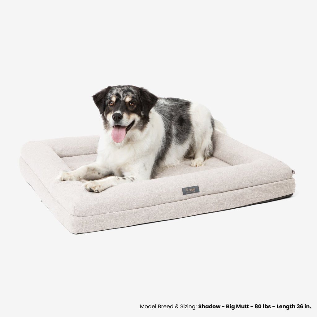 Memory Foam Orthopedic Dog Bed - Large/Off White