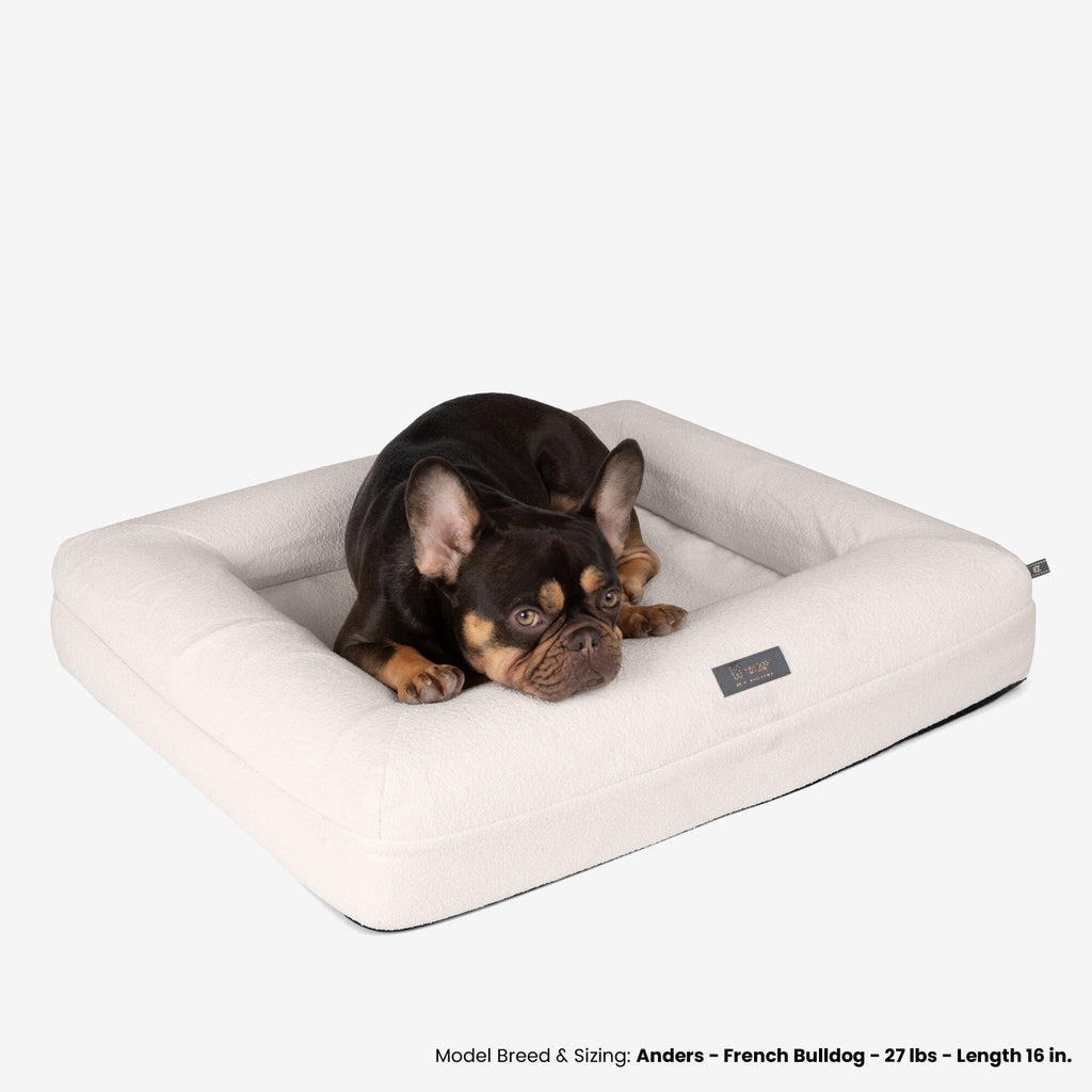 Orthopedic Dog Beds With Memory Foam Nandog Pet Gear Nandog Pet Gear orthopedic-dog-beds-with-memory-foam-nandog-pet-gear-nandog-pet-gear