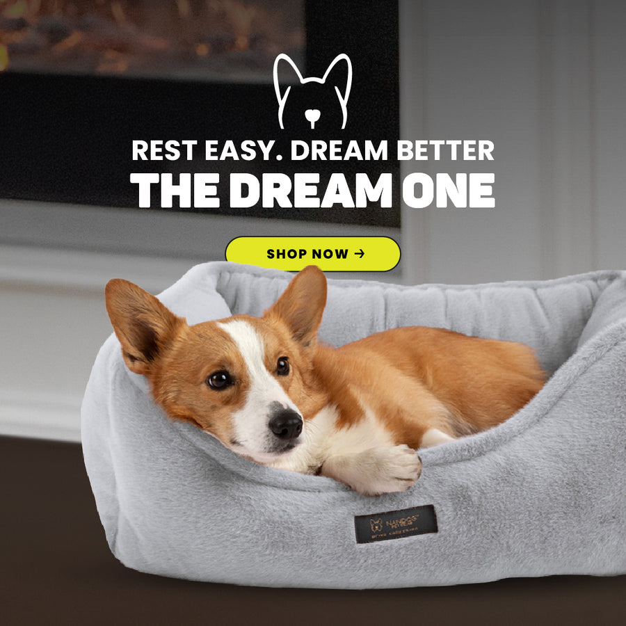 Luxury Dog Beds & Plush Toys | Comfort & Style for Your Furry