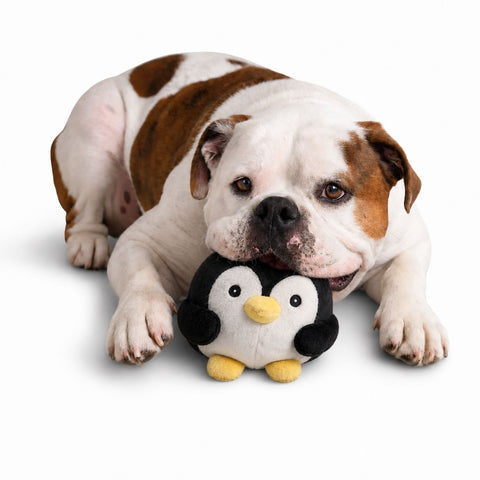 My BFF Glacier The Penguin Plush Dog Toy