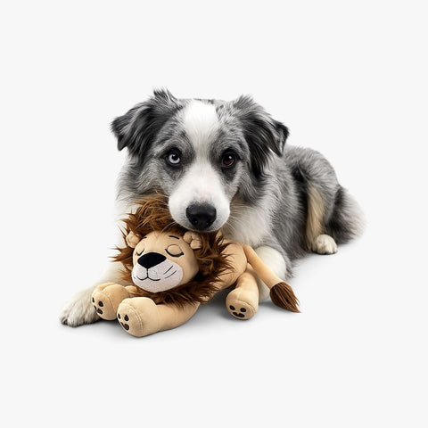 My BFF Grumpy The Alpaca + Leo Plush Dog Toy Bundle
