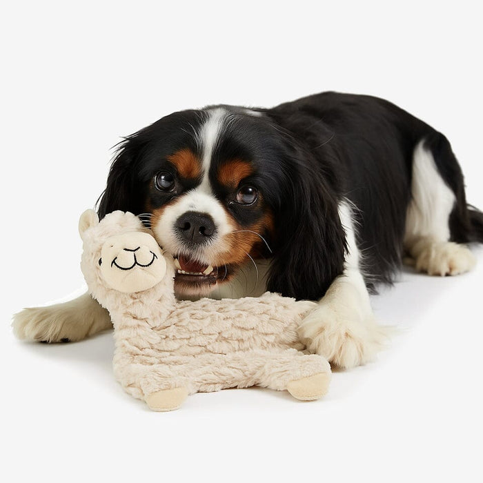 My BFF Grumpy The Alpaca Plush Dog Toy