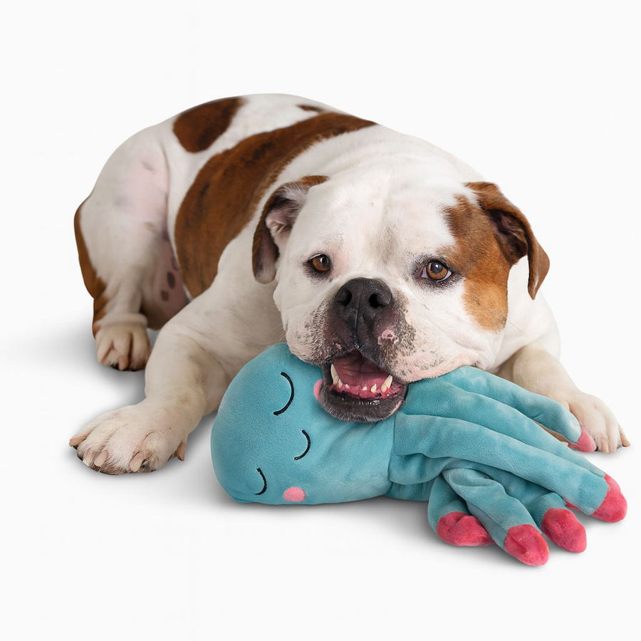 My BFF™ Gus the Octopus Plush Dog Toy | Nandog Dream Collection