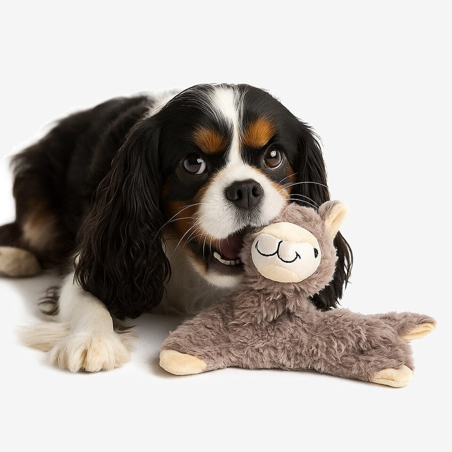 My BFF Lulu The Alpaca Plush Dog Toy – Nandog Pet Gear™