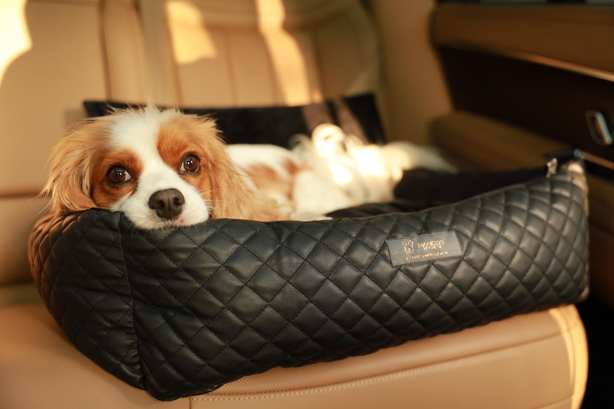 Cavalier King Charles Spaniel resting in a Nandog quilted vegan leather dog car seat
