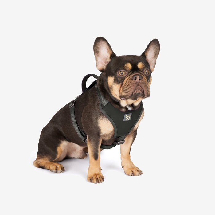 Canada pooch harness instructions online