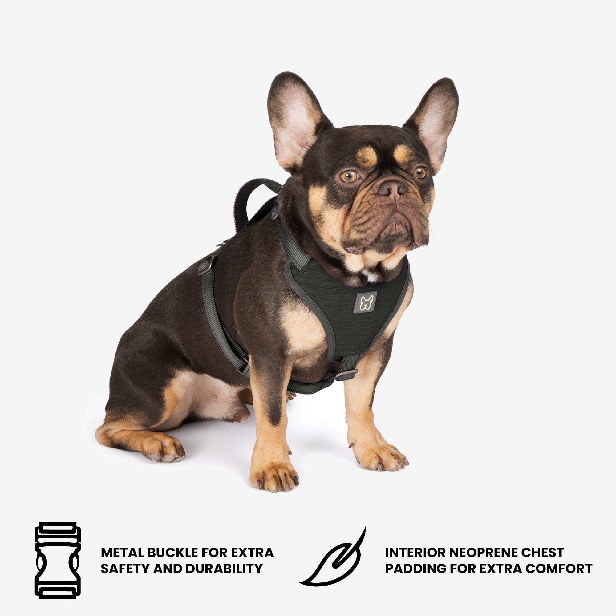 Nandog No-Pull Dog Harness Black Durable, Comfortable Stylish