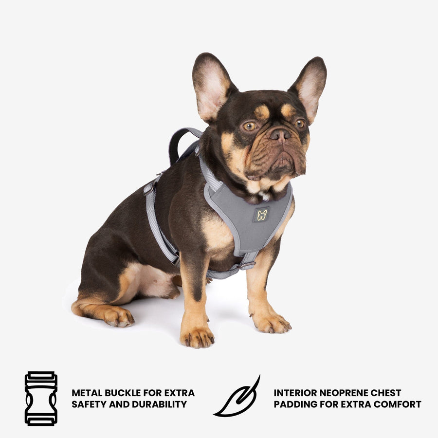 Nandog No-Pull Dog Harness Gray - Durable, Comfortable & Stylish