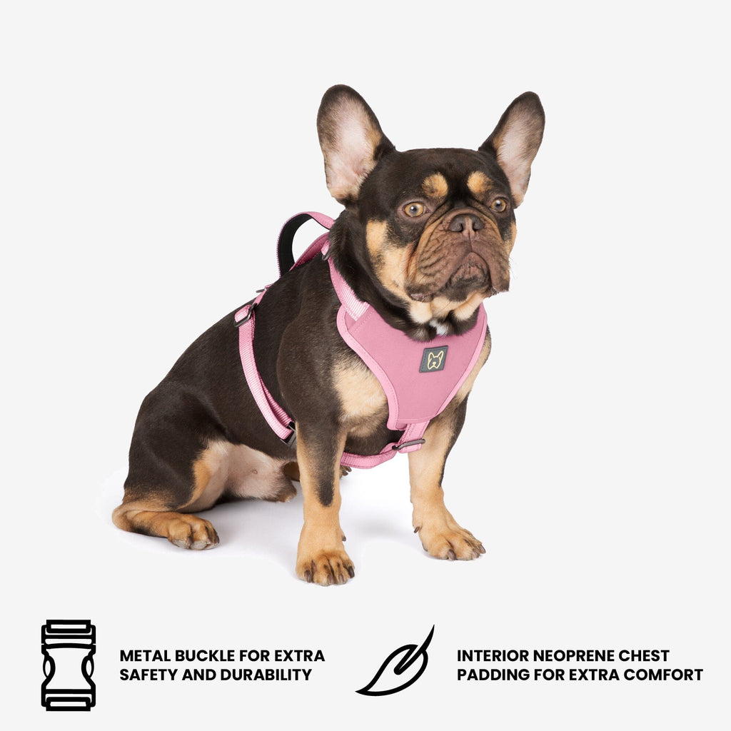 Neoprene Sport Dog Harness - Pink