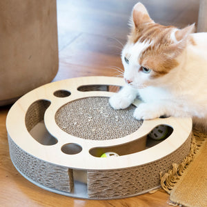 A cat with his new cat scratcher from Nandog Pet Gear