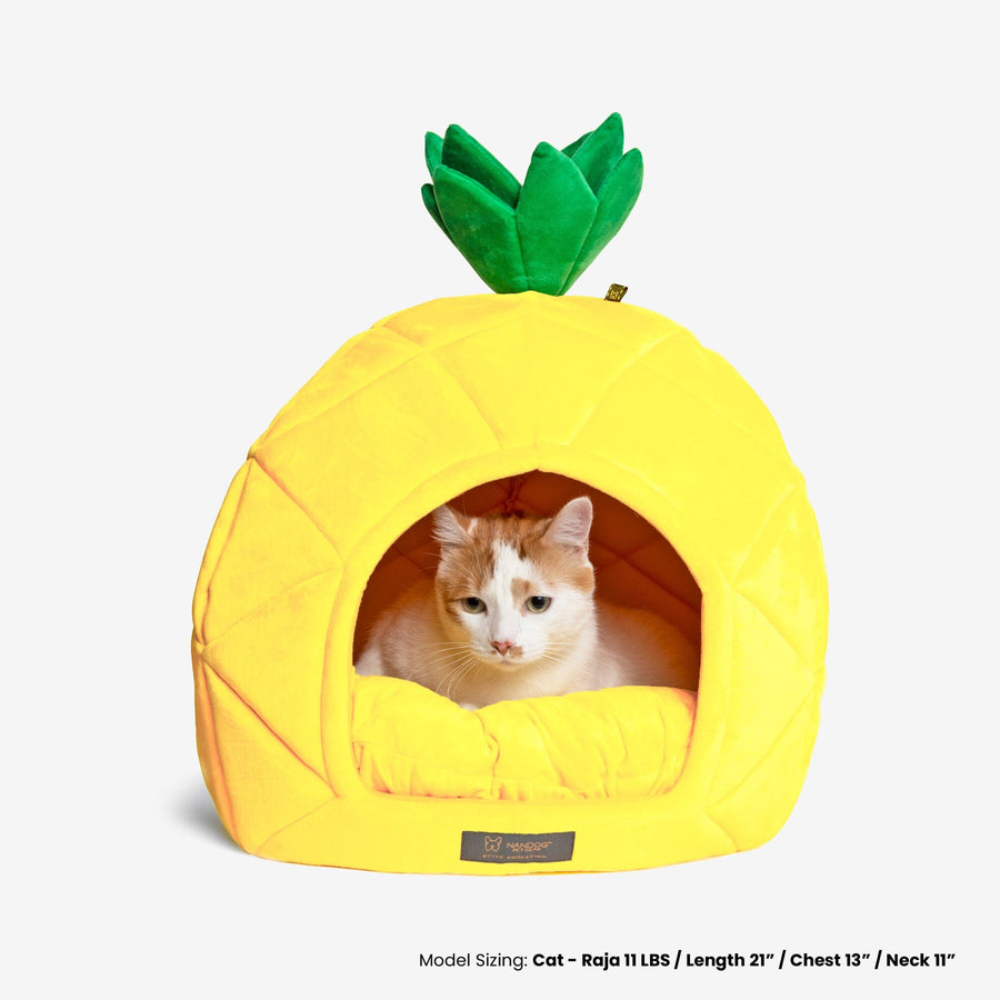 Pineapple bed dog hotsell
